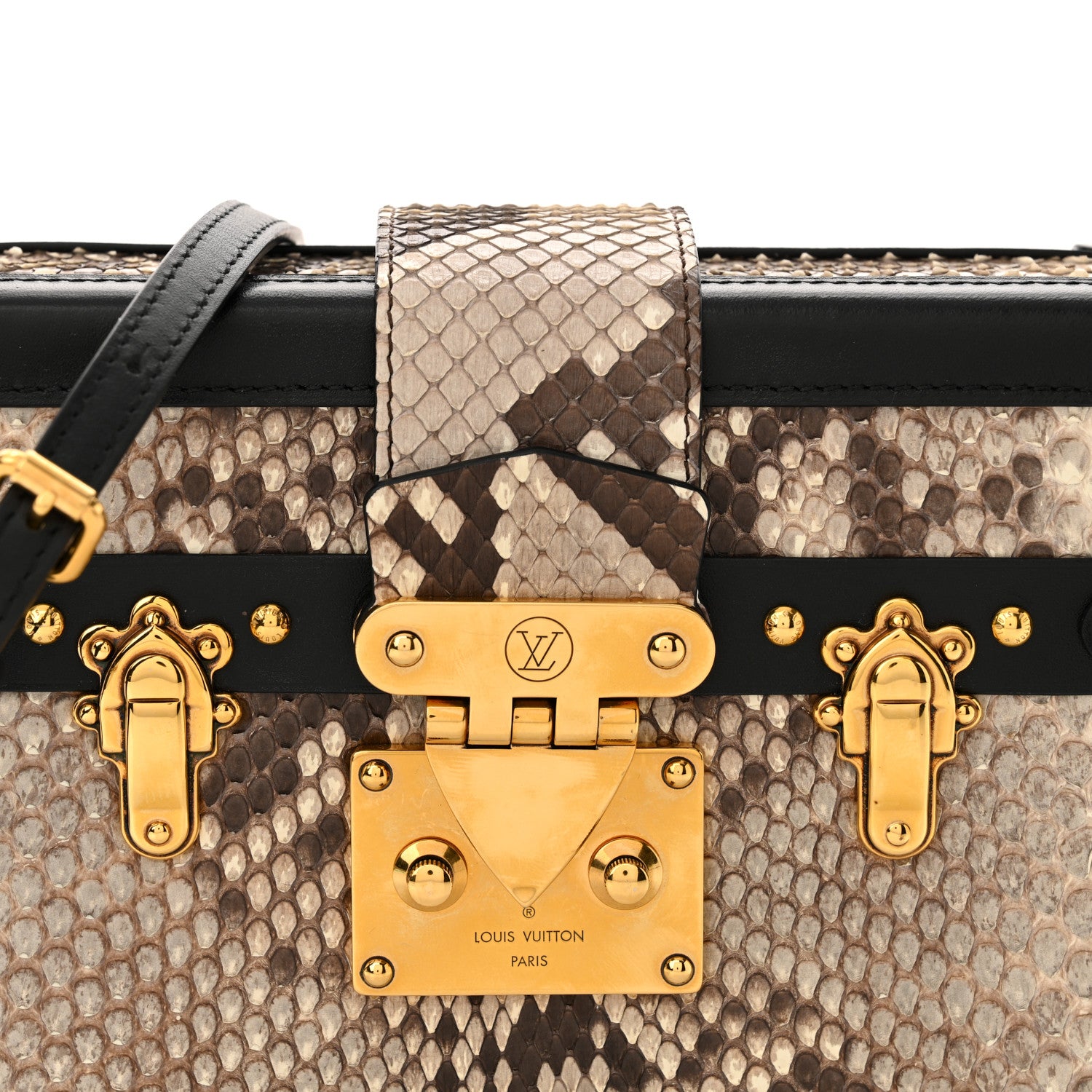 Louis Vuitton Snakeskin Petite Malle 7 of 12
