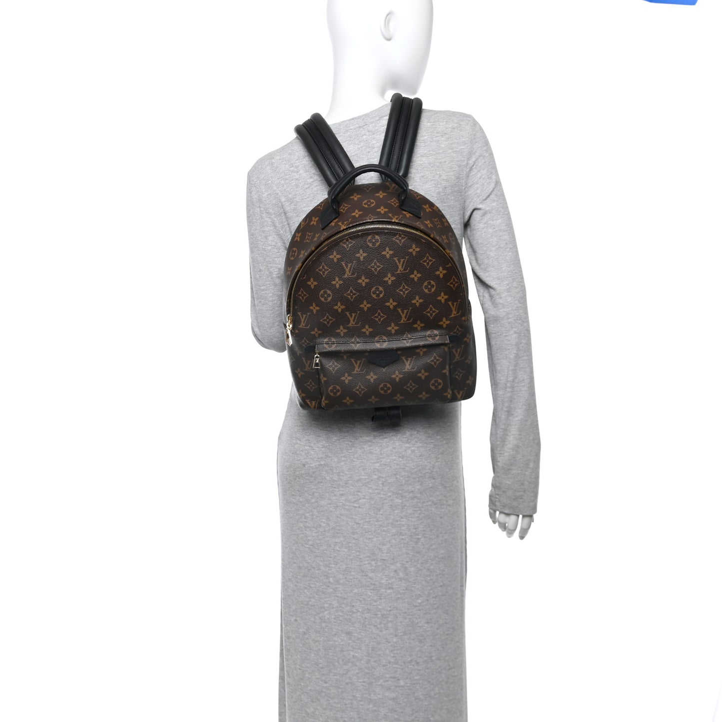 Monogram Palm Springs Backpack MM