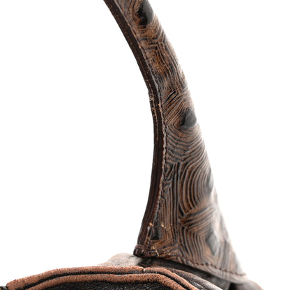 Fendi Zucca Nappa Nuvolata Vitello Tortuga Spy Tobacco Moro 13 of 13