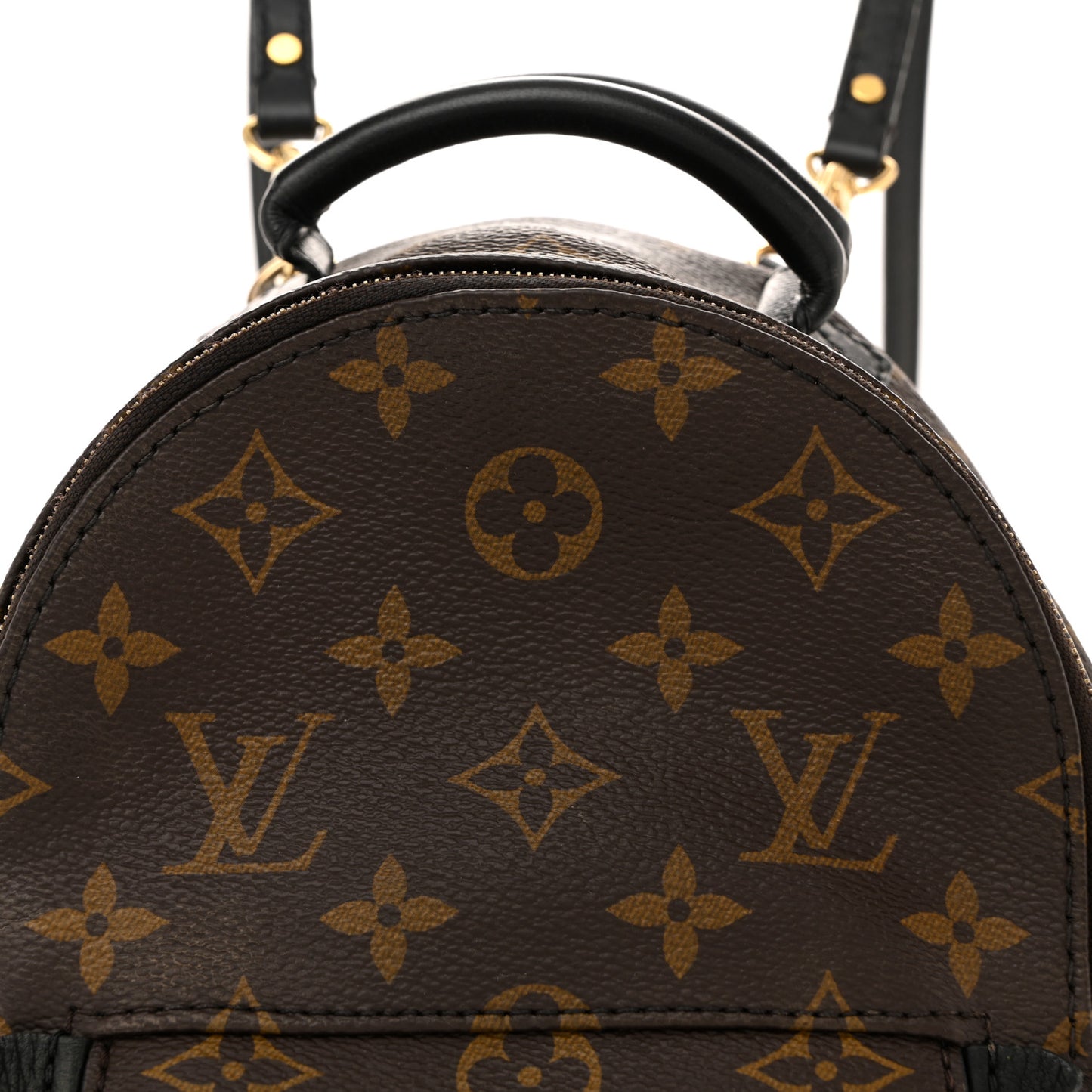 Monogram Palm Springs Backpack Mini
