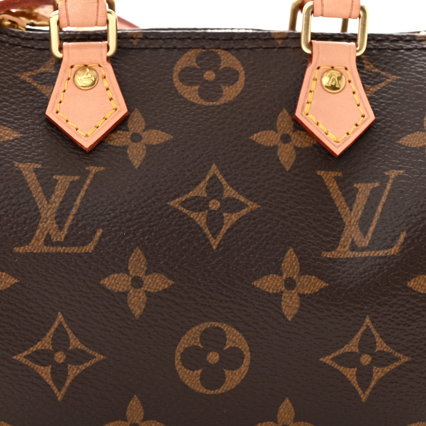 Monogram Nano Speedy