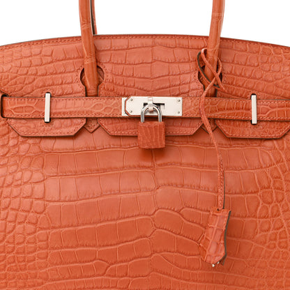 Hermes Matte Alligator Birkin 30 Pain d'Epices 8 of 12