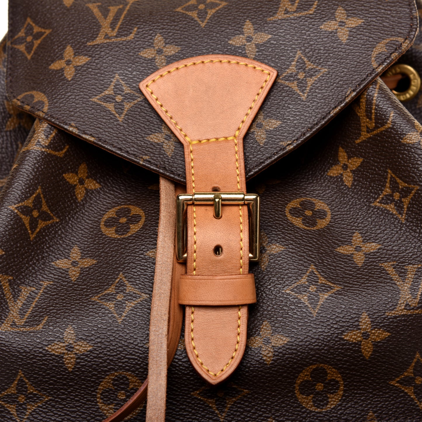 Monogram Montsouris GM Backpack