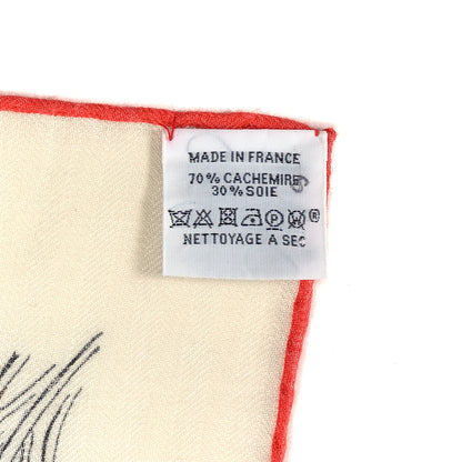 Hermes Cashmere Silk Le Jardin De Leila Au Bloc Shawl 140 3 of 3