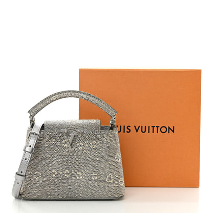 Louis Vuitton Lizard Mini Capucines Argento 16 of 16