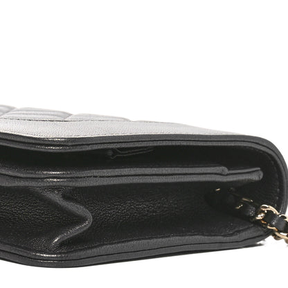 Chanel Sheepskin Quilted Mademoiselle Vintage Wallet On Chain WOC Ruthenium 11 of 12