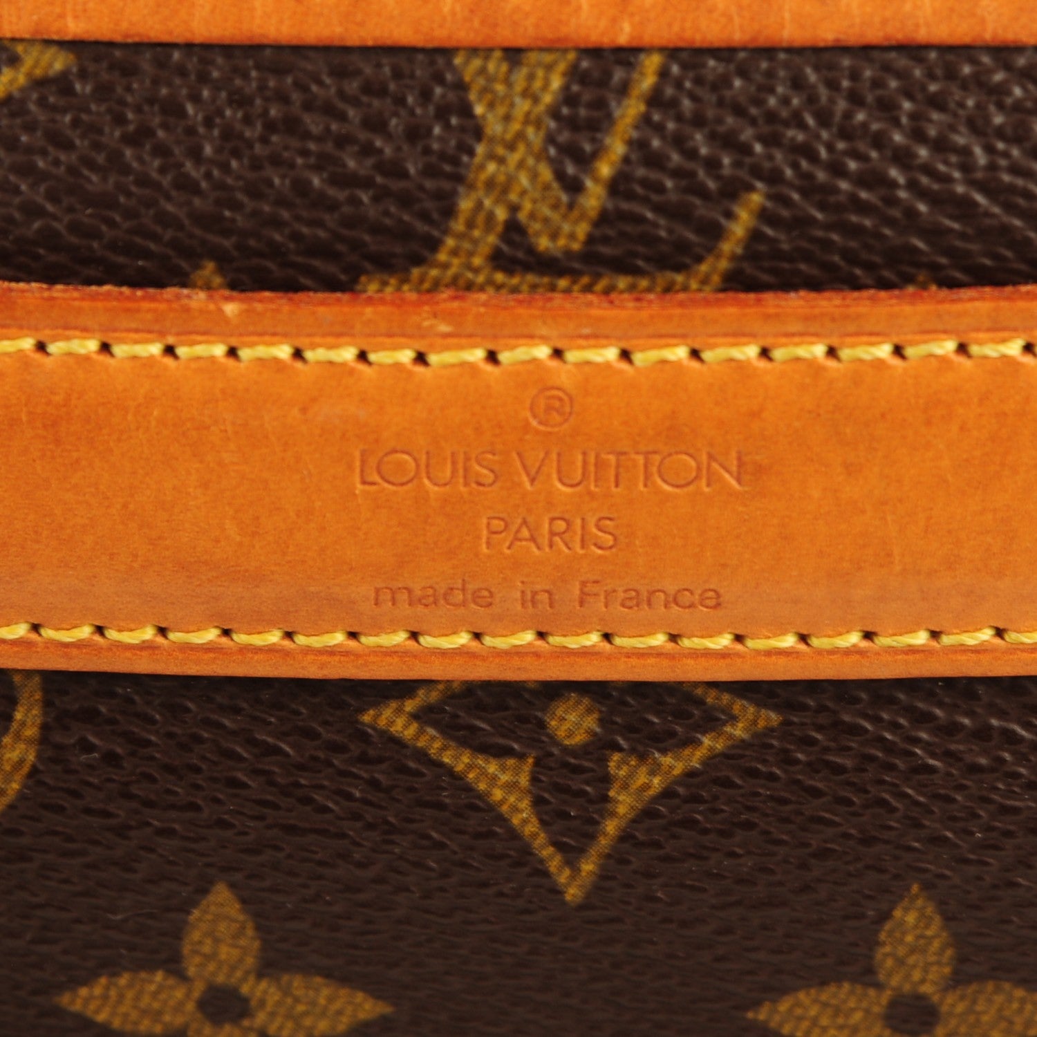 Louis Vuitton Monogram Sac Chien 40 Pet Carrier 8 of 10