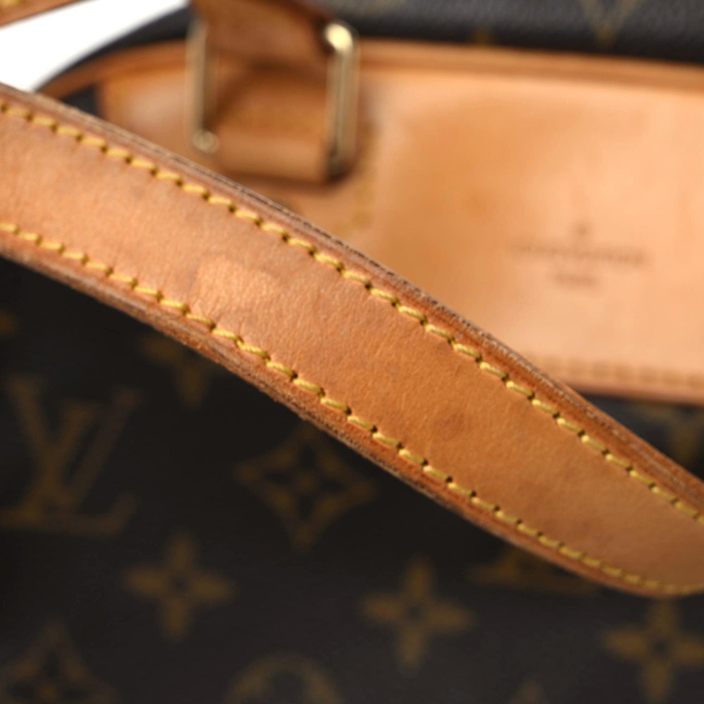 Monogram Excursion Shoe Bag