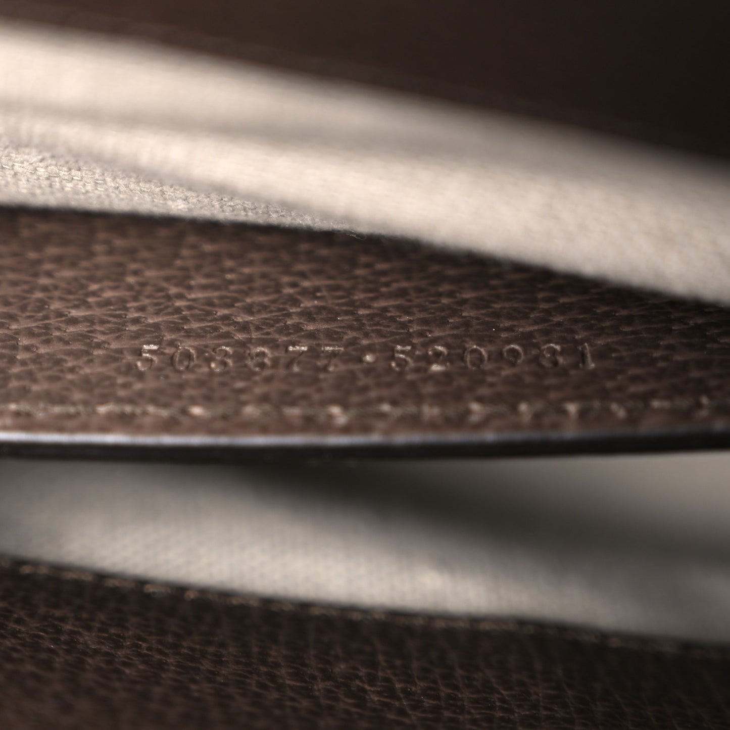 Monogram Jumbo GG Textured Dollar Calfskin Web Small Ophidia Chain Shoulder Bag Camel Ebony New Acero