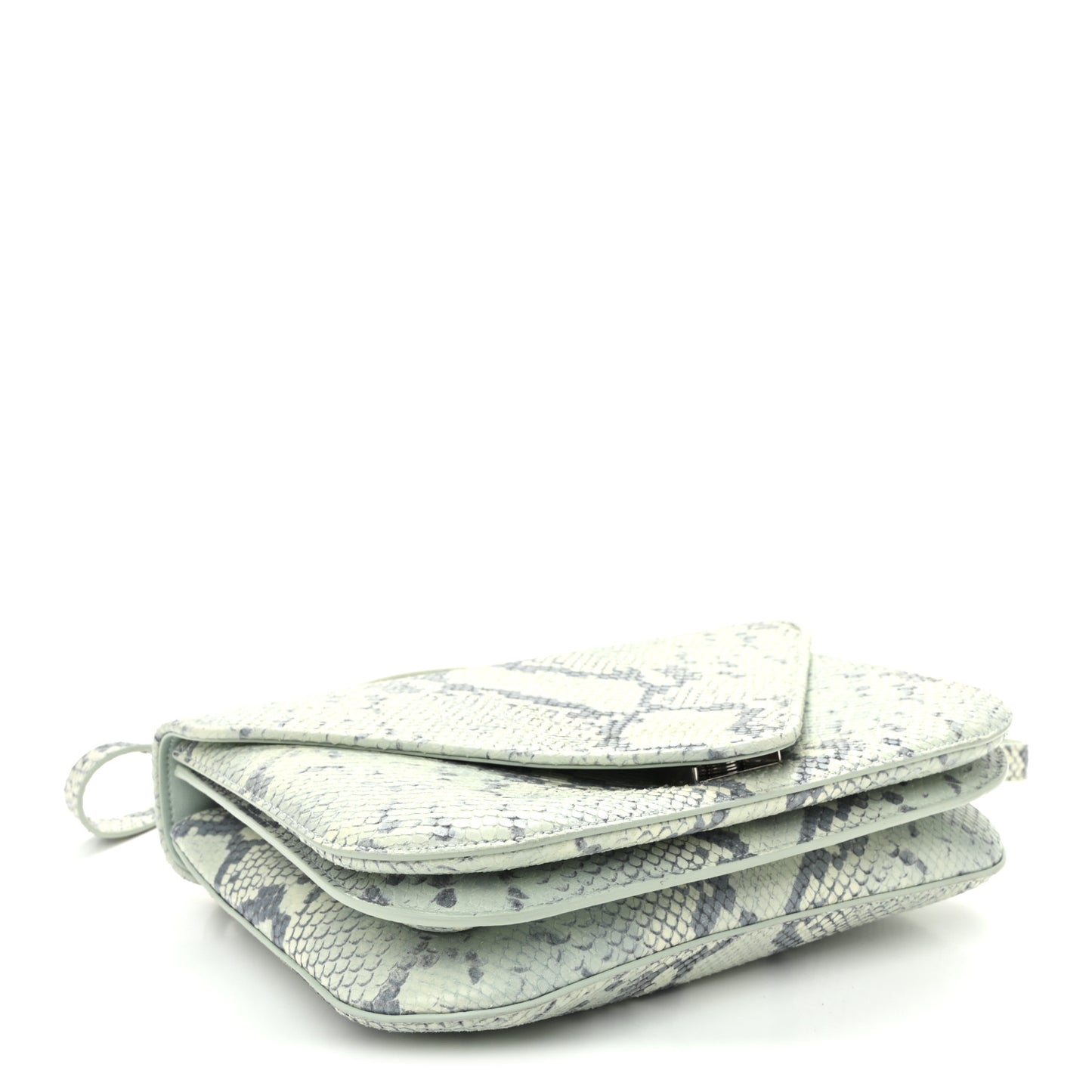 Snakeskin Mount Envelope Bag Green