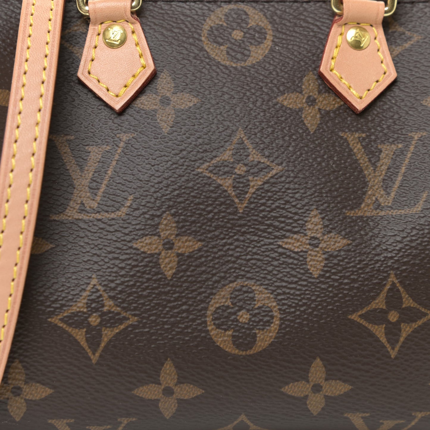 Monogram Nano Speedy