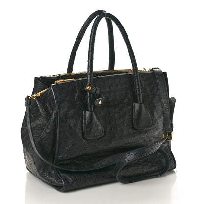 Prada Ostrich Small Double Zip Tote Black 3 of 9