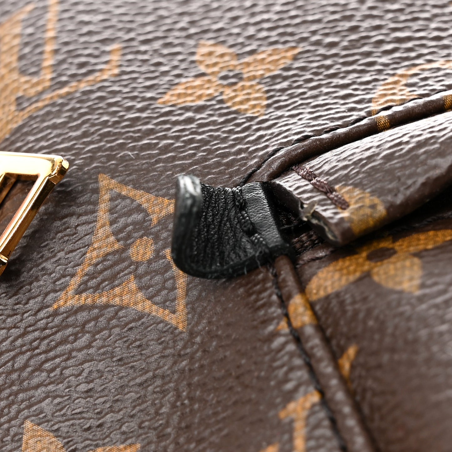 Monogram Palm Springs Backpack MM