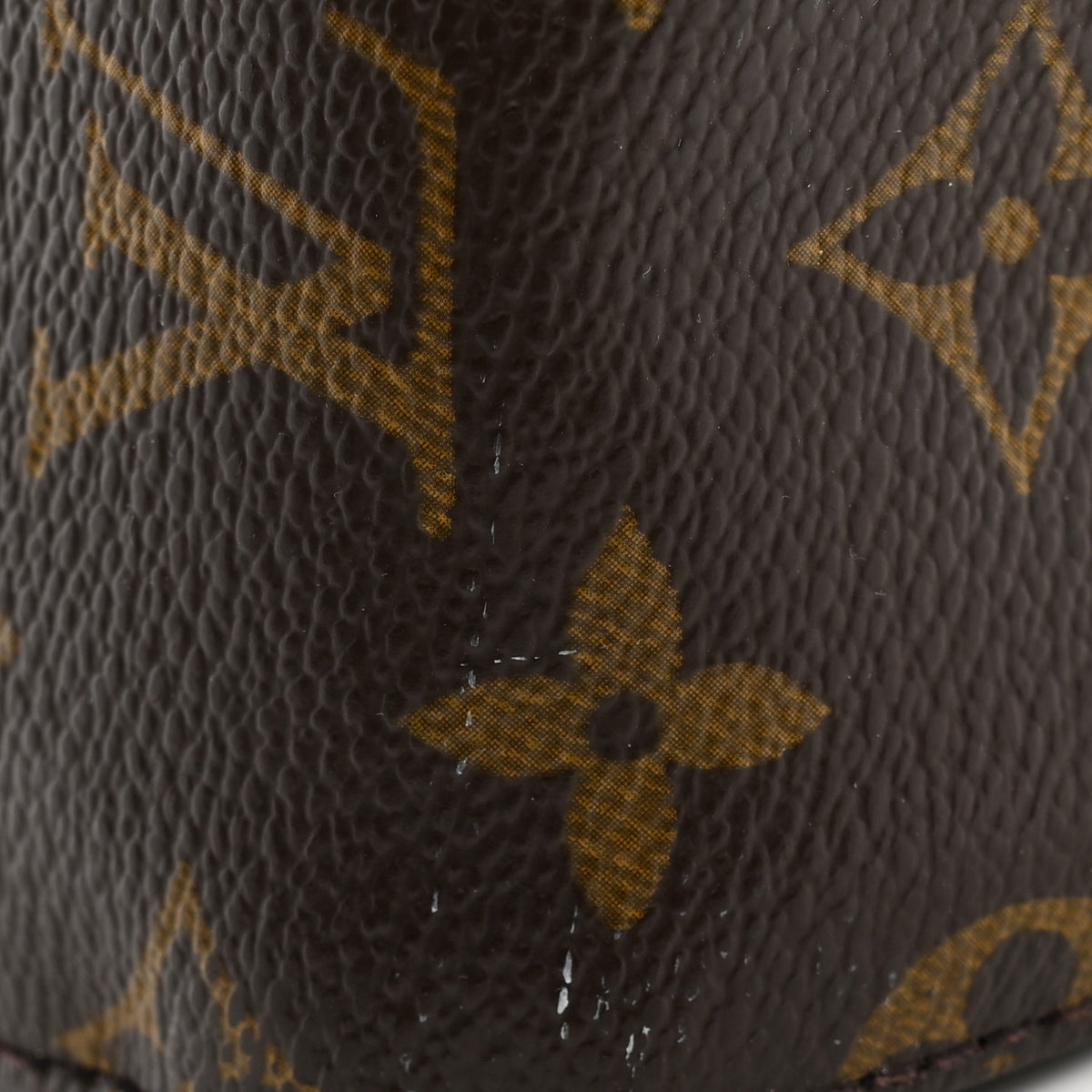 Louis Vuitton Monogram Mini Looping 15 of 16