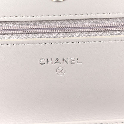Chanel Lambskin Quilted Wallet On Chain WOC Grey 6 of 12