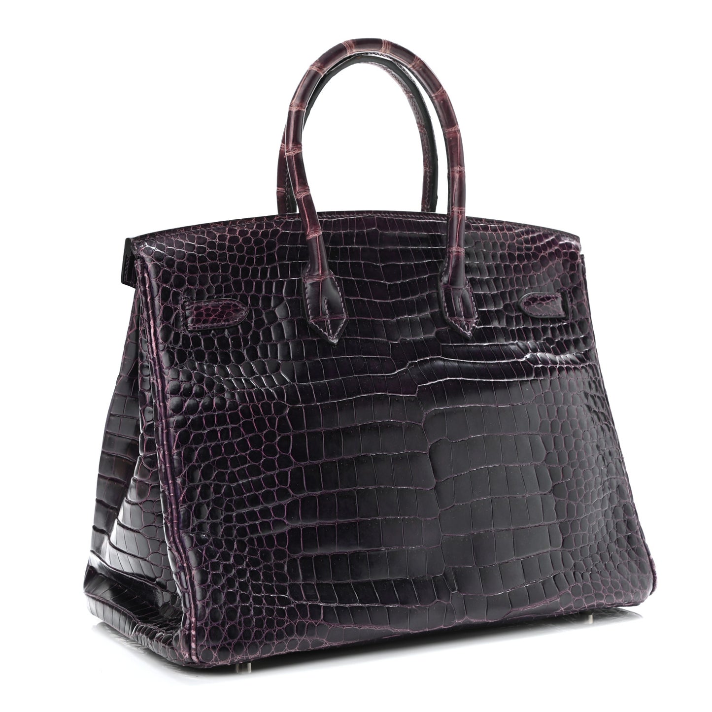 Shiny Porosus Crocodile Birkin 35 Prunoir