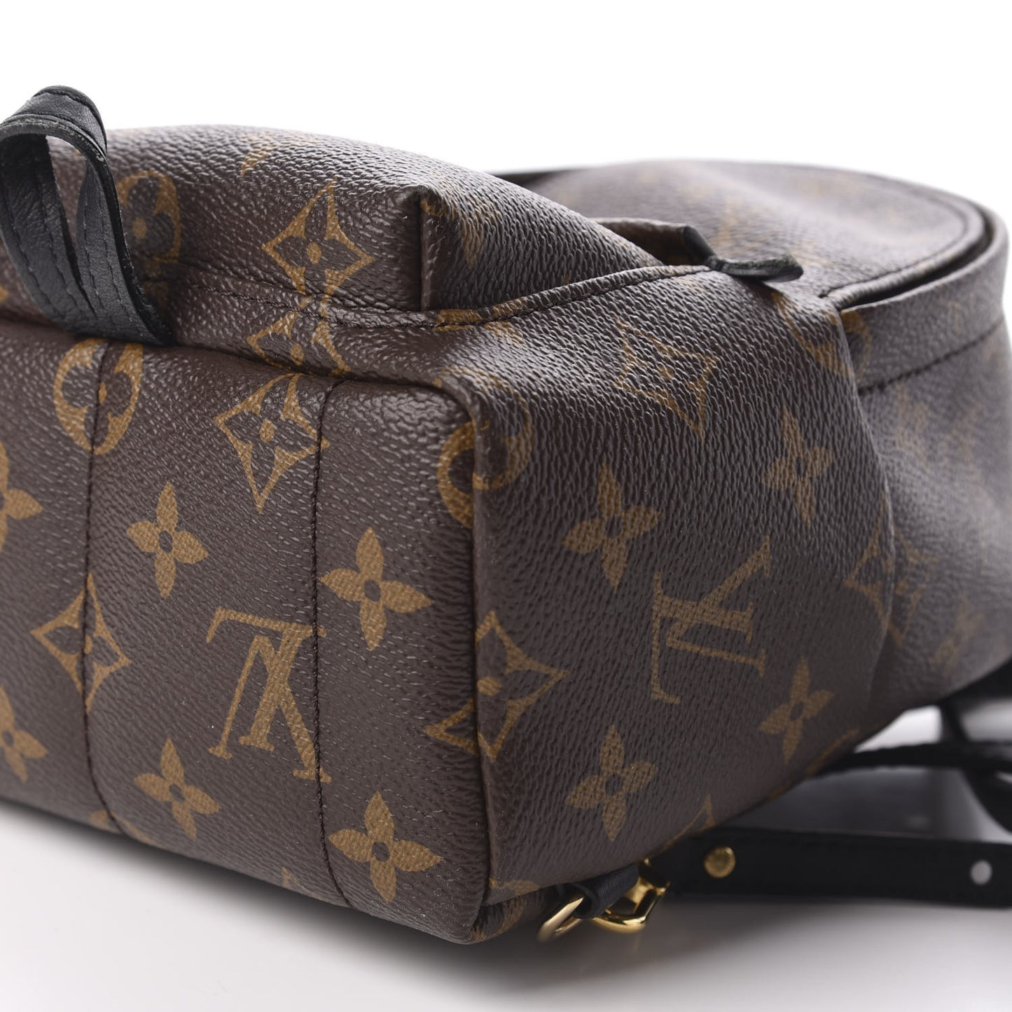 Monogram Palm Springs Backpack Mini