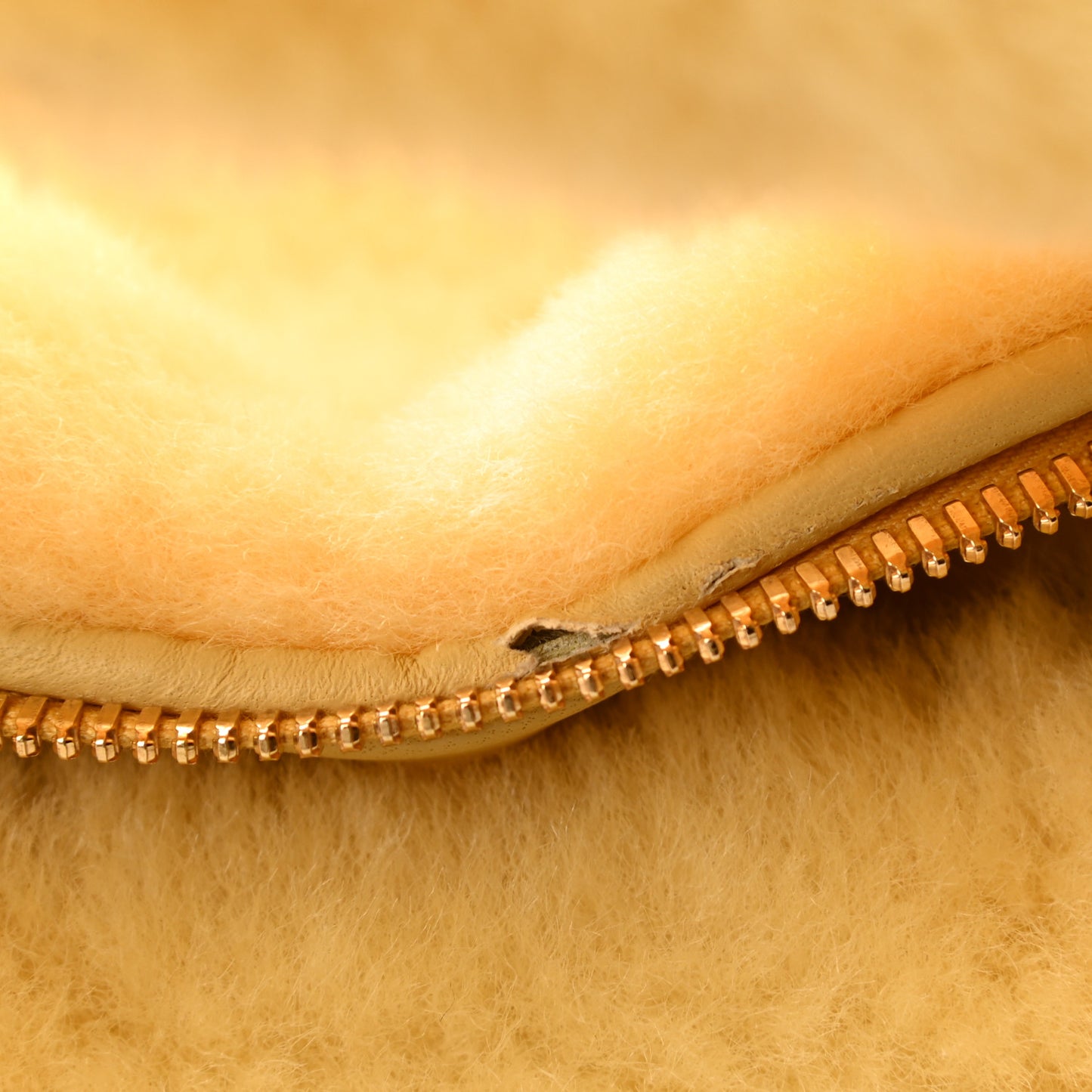 Shearling Lambskin Mini Jodie Teddy