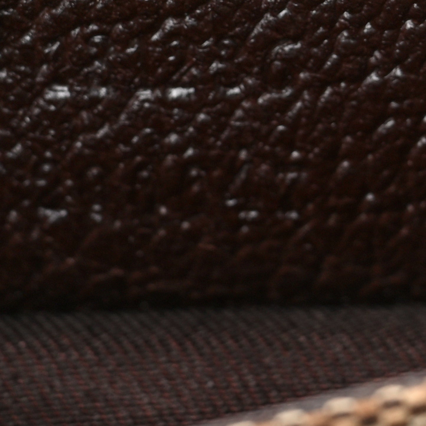 Monogram Waist Pouch Bag Dark Brown