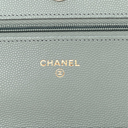 Chanel Caviar Quilted Wallet On Chain WOC Light Grey 6 of 11