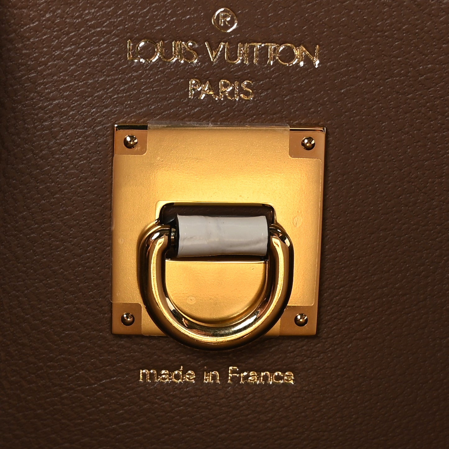 LOUIS VUITTON Himalaya Crocodile City Steamer PM