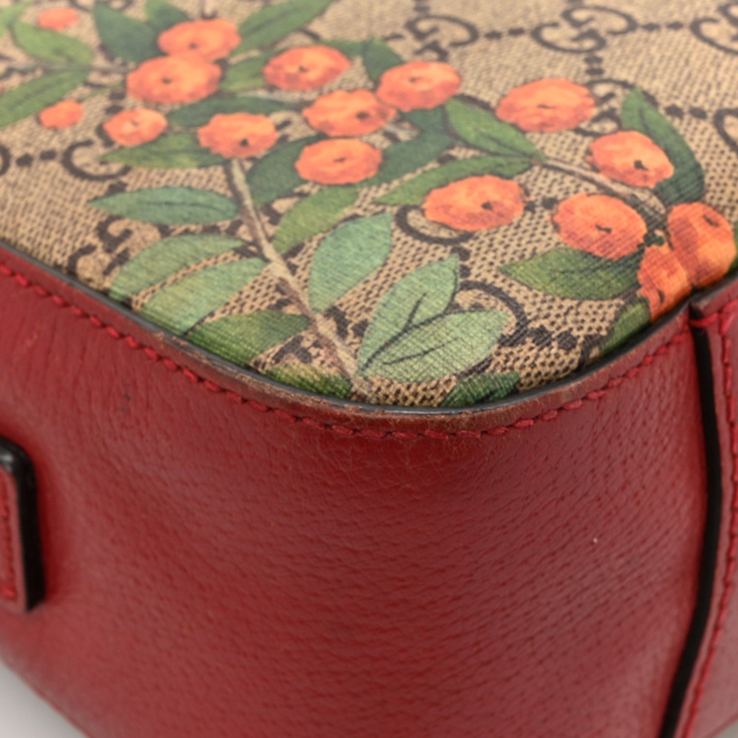 Gucci GG Supreme Monogram Tian Web Camera Bag Beige Multicolor Red 14 of 19