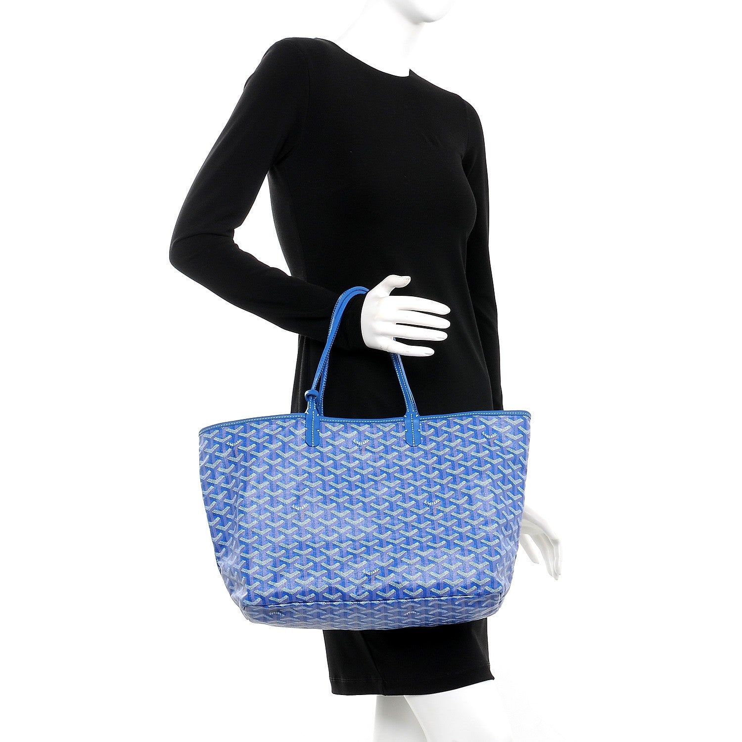 Goyard Goyardine Saint Louis PM Sky Blue 2 of 9