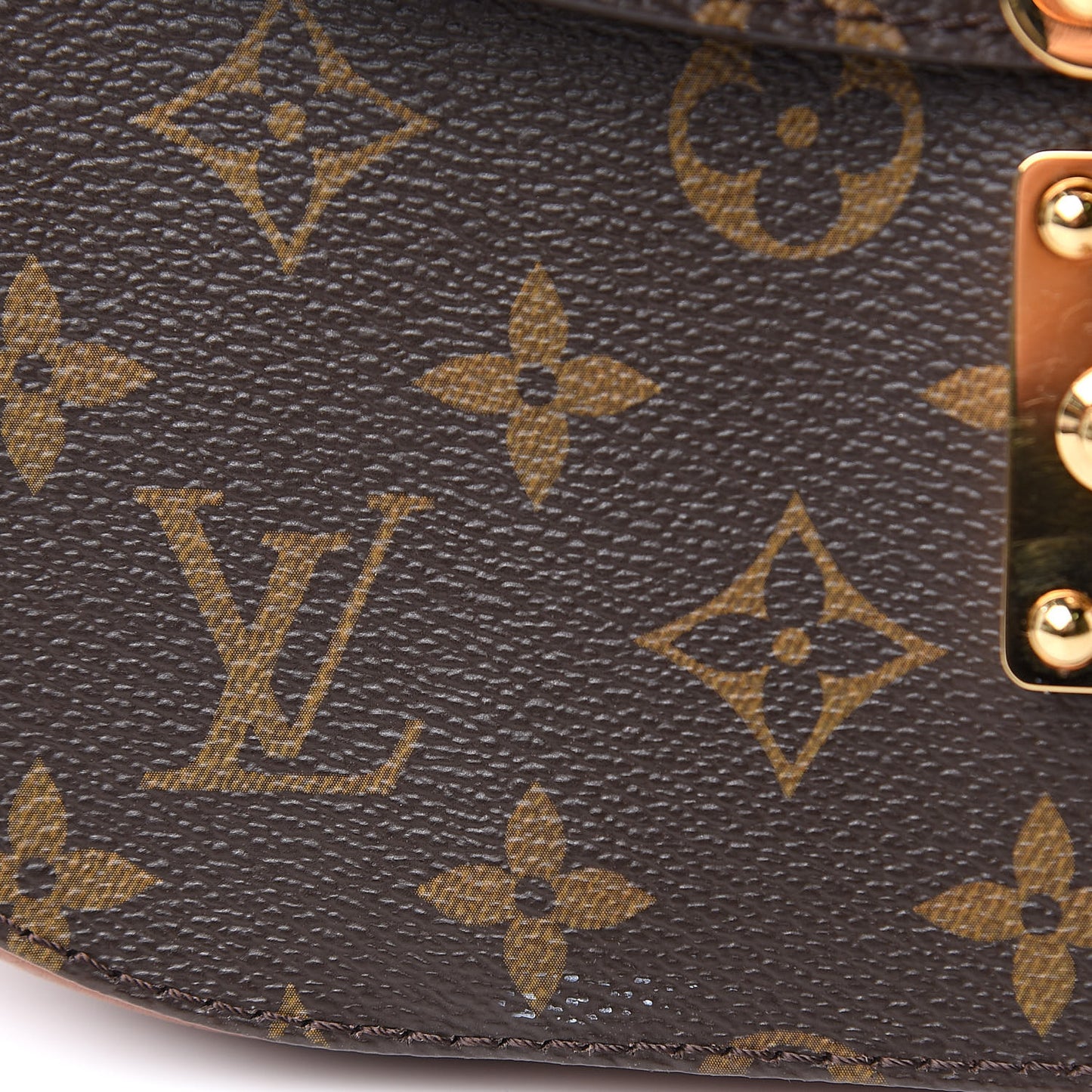 Monogram Eden MM Camel