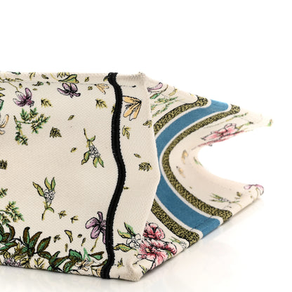 Christian Dior Canvas Embroidered Medium D-Constellation Book Tote Latte Multicolor 10 of 11