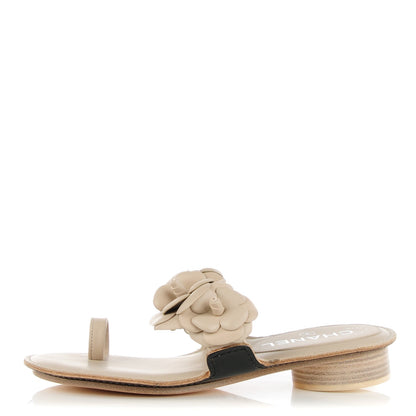 Chanel Lambskin Camellia Sandals 35 Light Beige 1 of 8