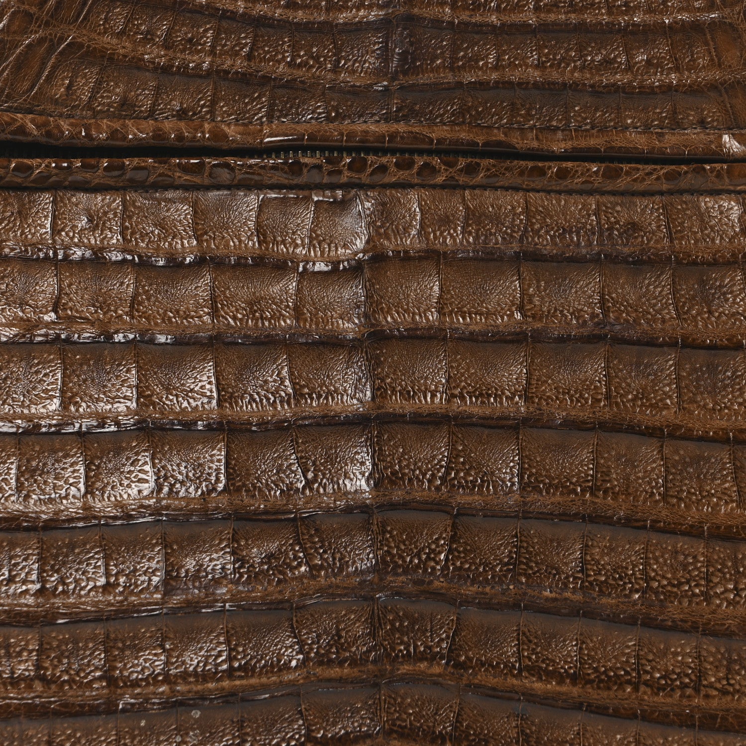 Chanel Alligator Shopping Tote Brown 9 of 11