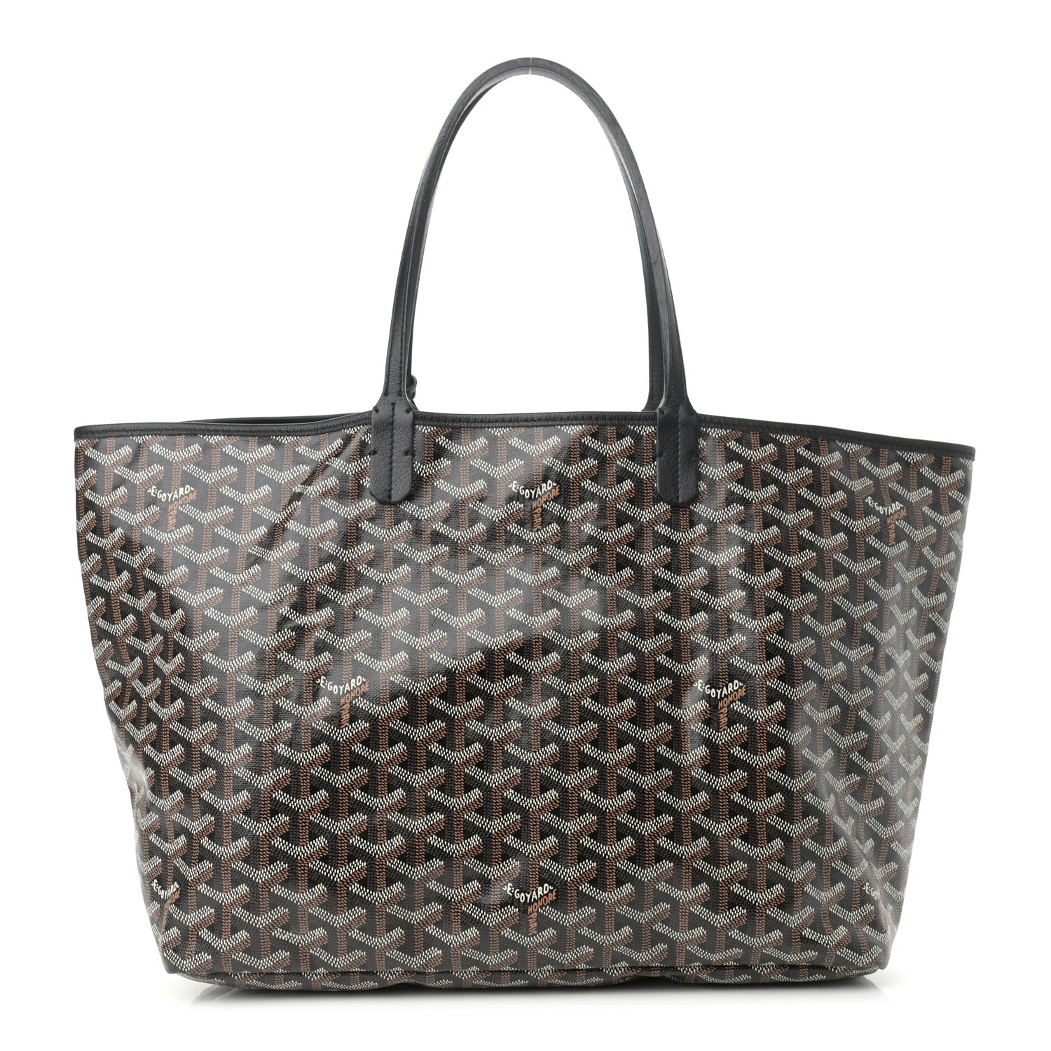 Goyard Goyardine Saint Louis PM Black 3 of 15
