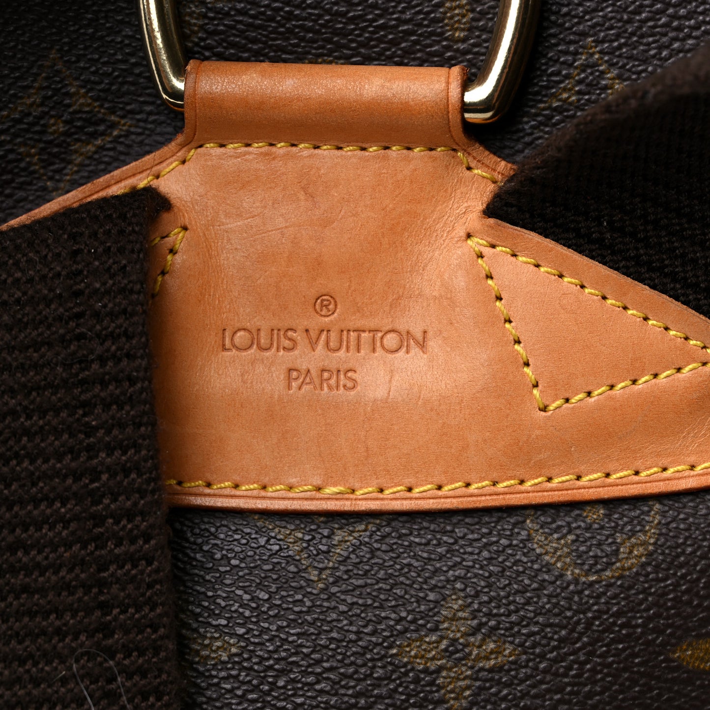 Monogram Montsouris GM Backpack