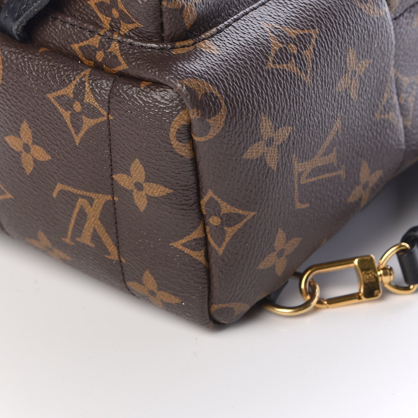 Monogram Palm Springs Backpack Mini