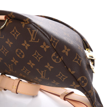 Louis Vuitton Monogram Bumbag 9 of 10