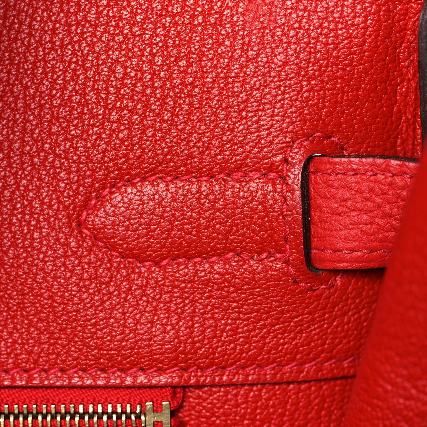 Togo Birkin 35 Geranium