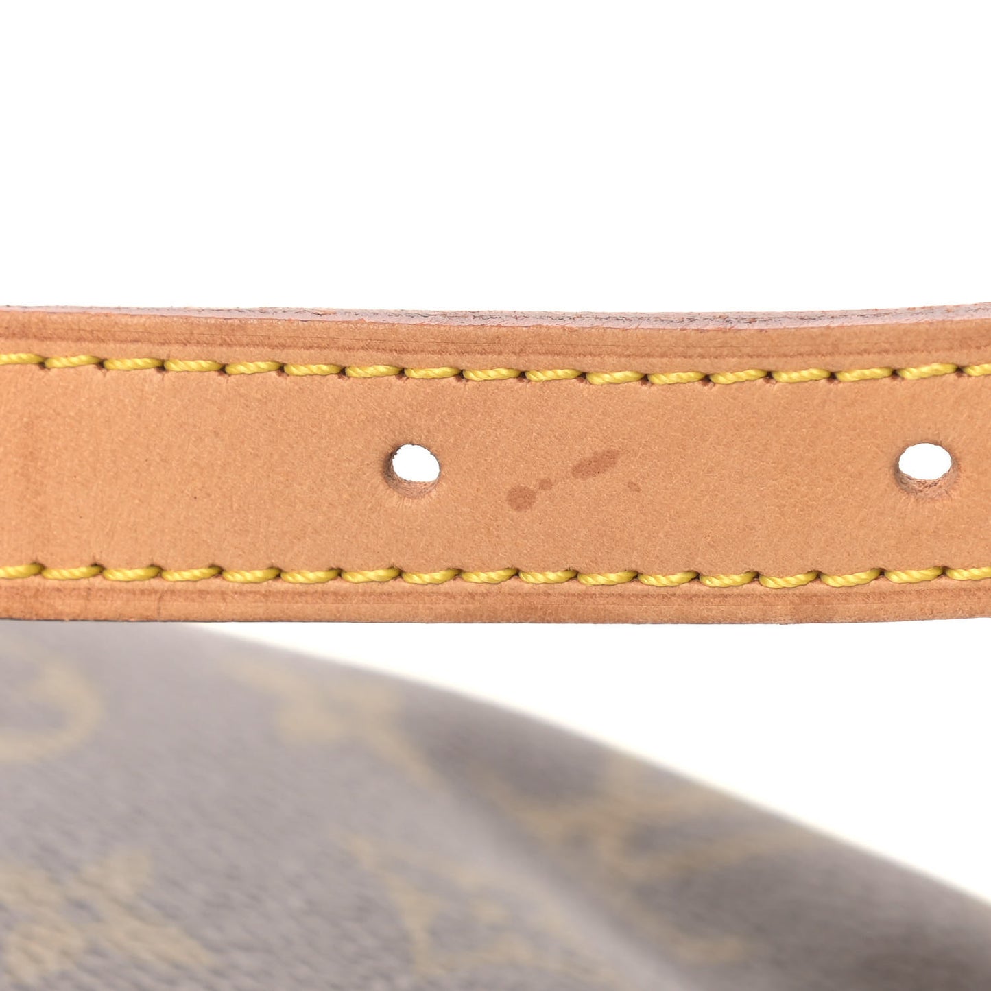 Monogram Musette Salsa
