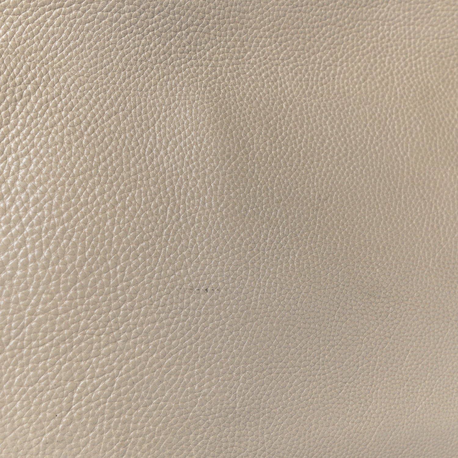 Chloe Goatskin Medium Elsie Shoulder Bag Dove 22 of 26