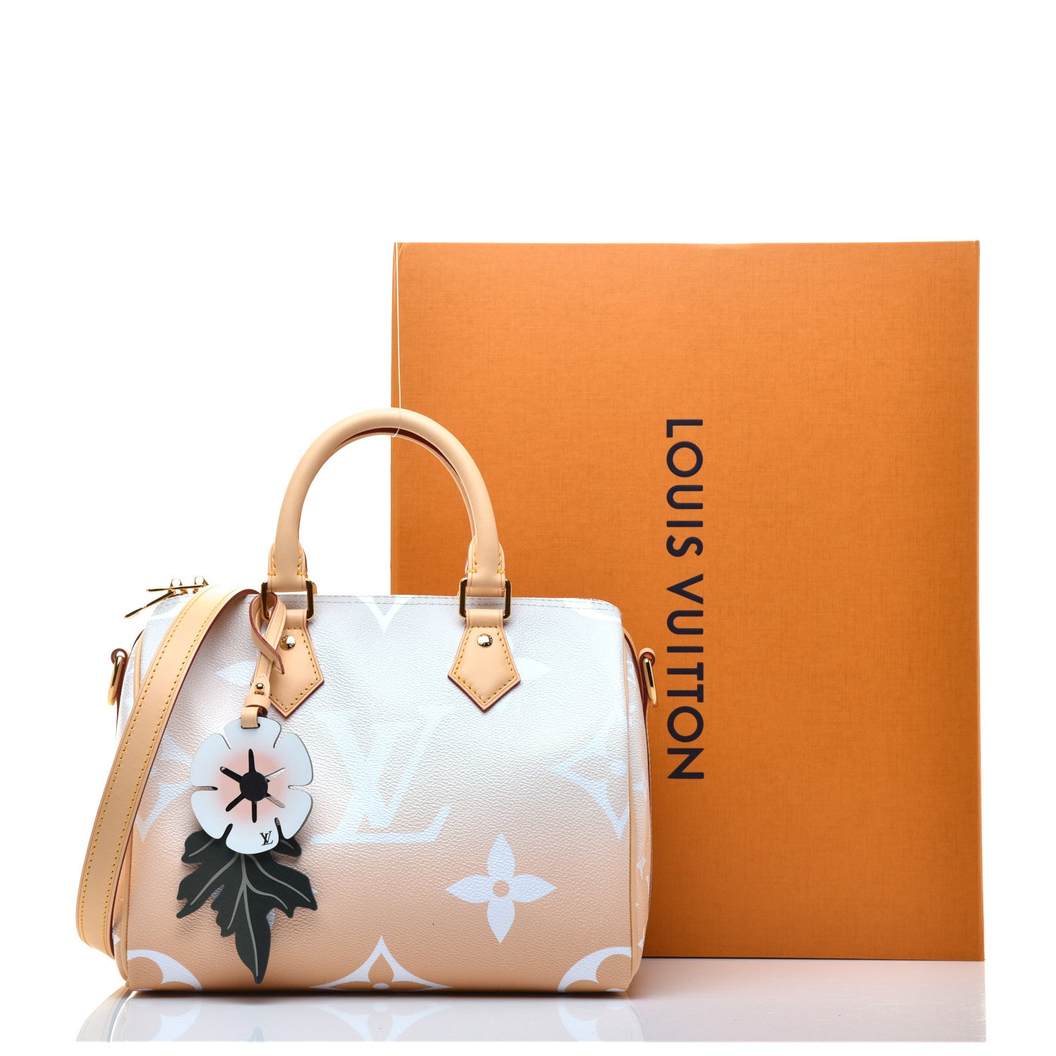 Louis Vuitton Monogram Giant By The Pool Speedy Bandouliere 25 Brume 11 of 11