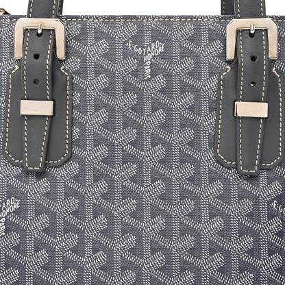 Goyard Goyardine Marie Galante PM Grey 7 of 12