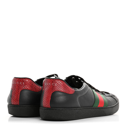 Gucci Miro Soft Calfskin Ayers Web Mens Ace Sneakers 10 Black Rosso 5 of 12