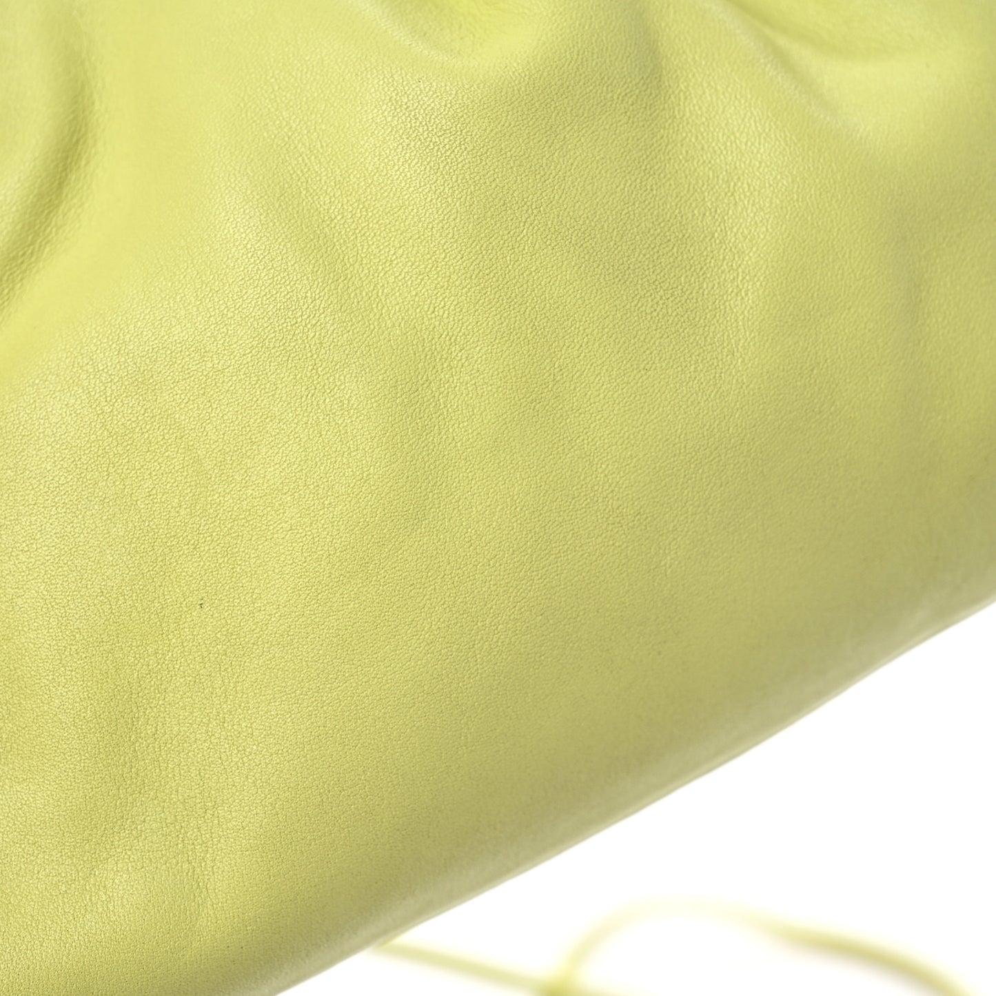 Butter Calfskin The Mini Pouch Kiwi