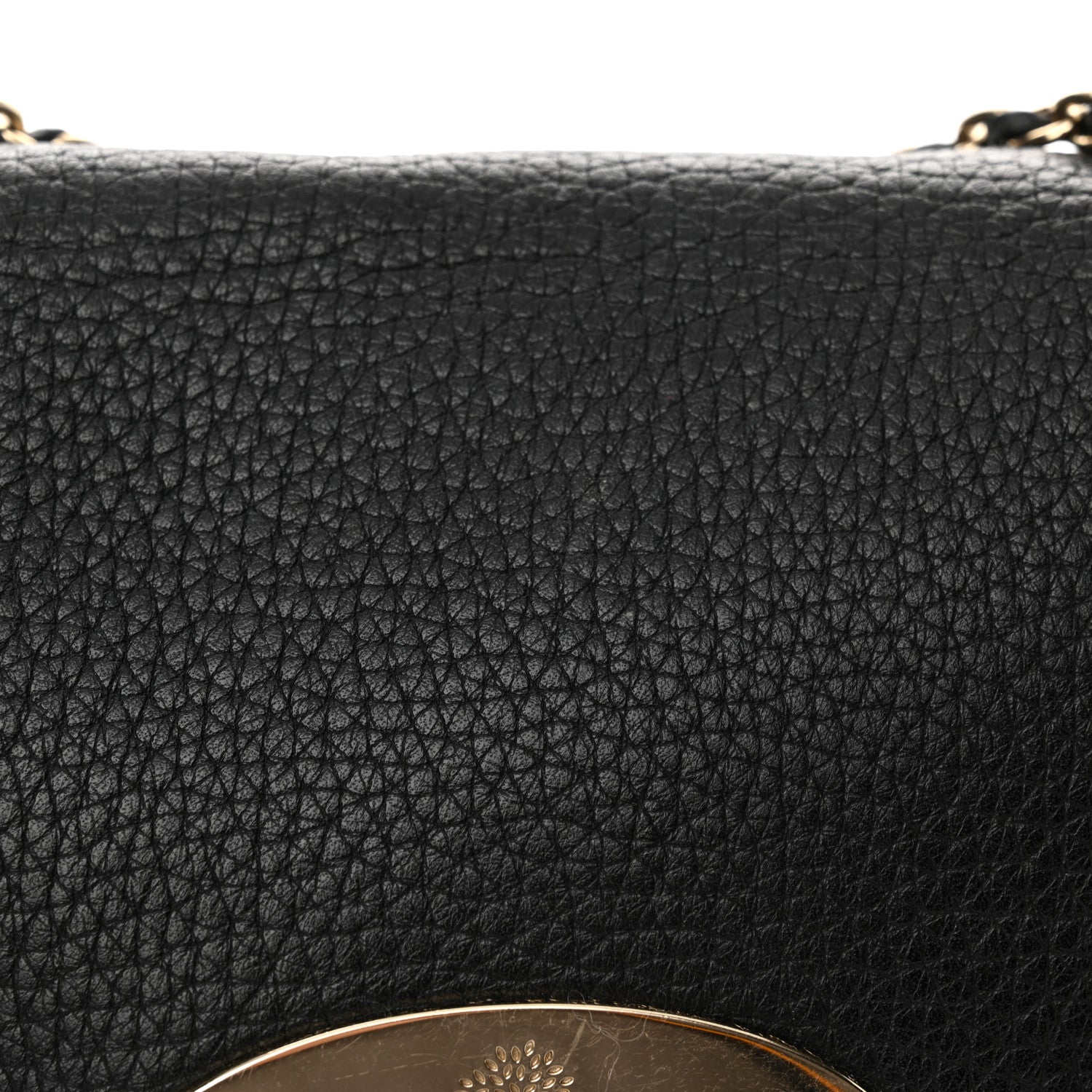 Mulberry Glossy Goatskin Small Lily Flap Black 14 of 16