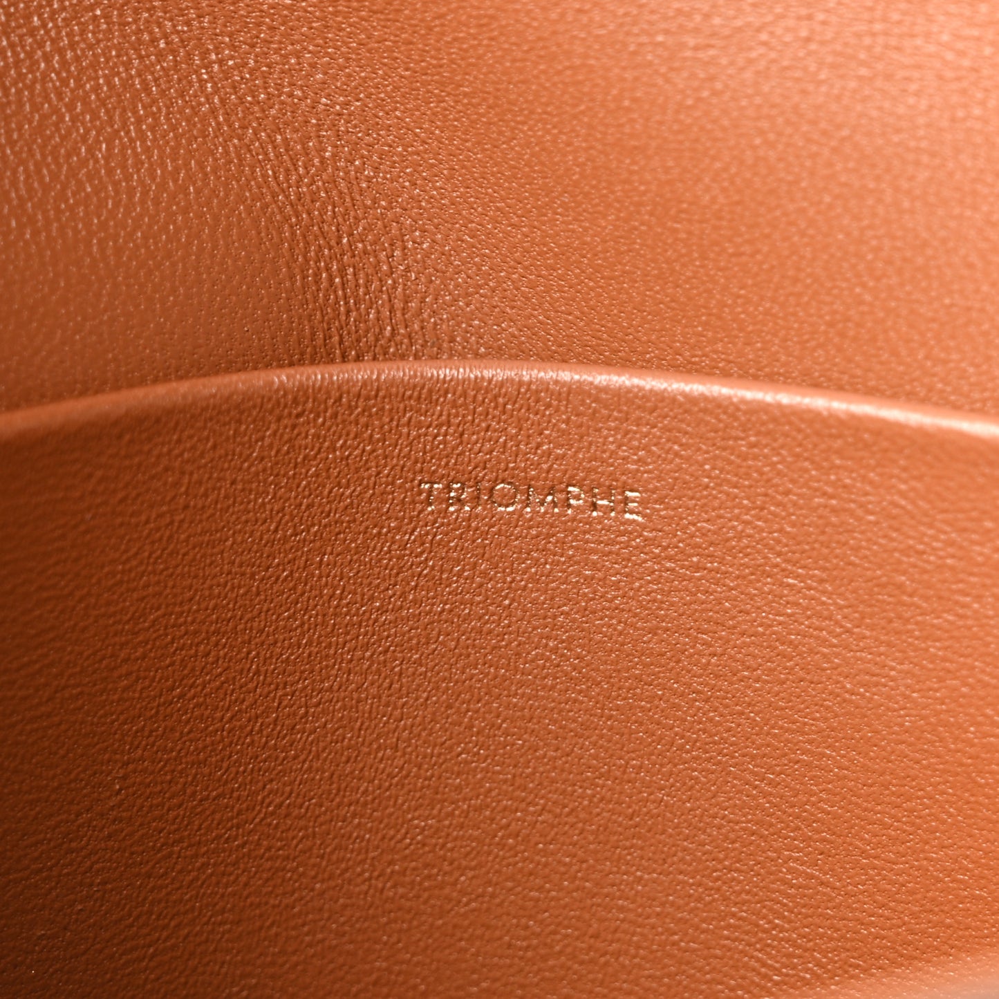 Canvas Calfskin Triomphe Shoulder Bag Tan