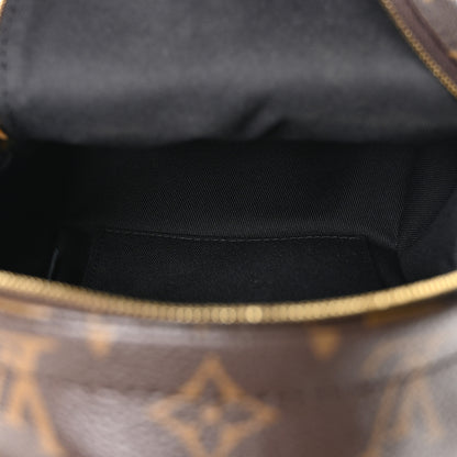 Louis Vuitton Monogram Palm Springs Backpack Mini 5 of 11