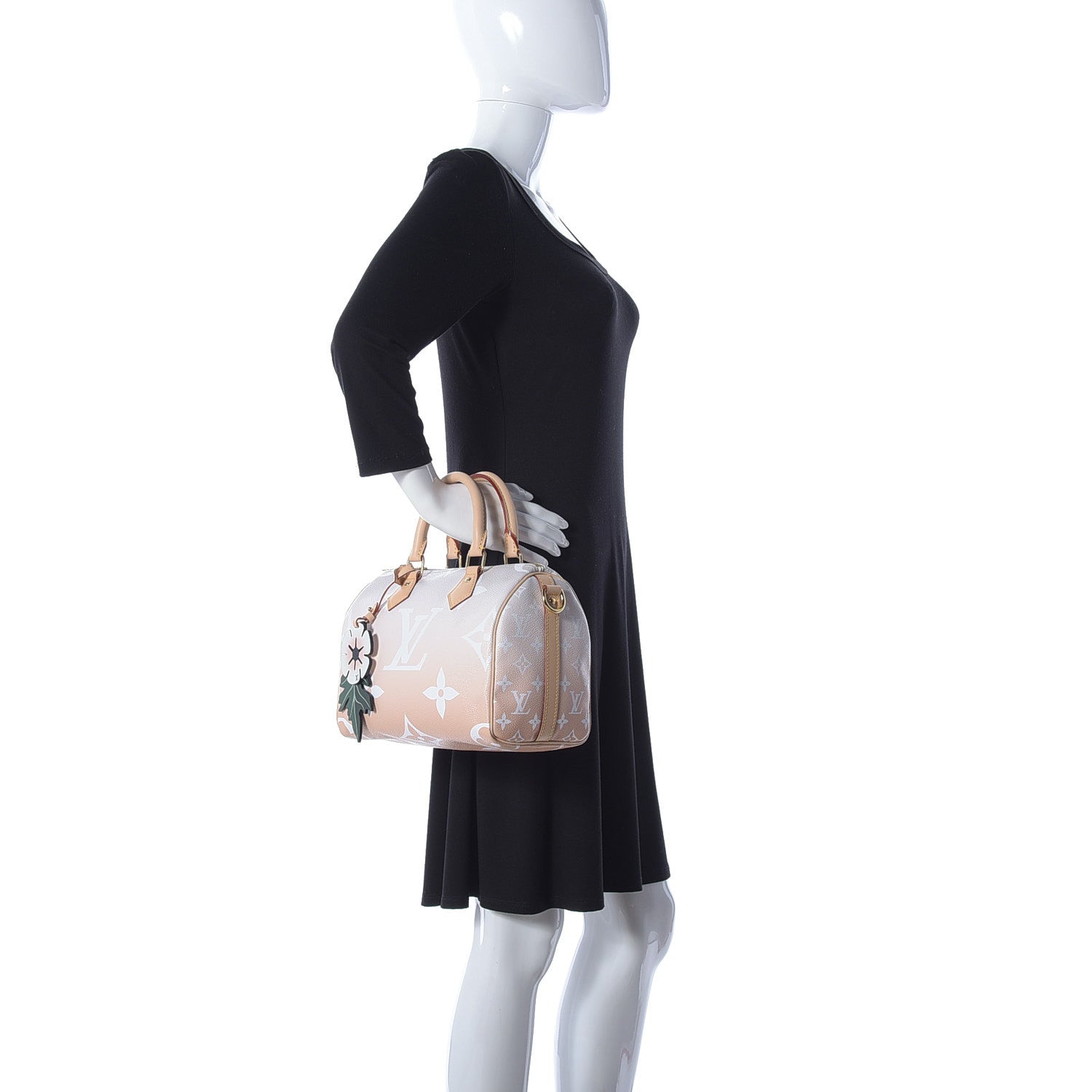 Louis Vuitton Monogram Giant By The Pool Speedy Bandouliere 25 Brume 3 of 10