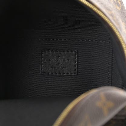 Louis Vuitton Monogram Palm Springs Backpack Mini 6 of 11