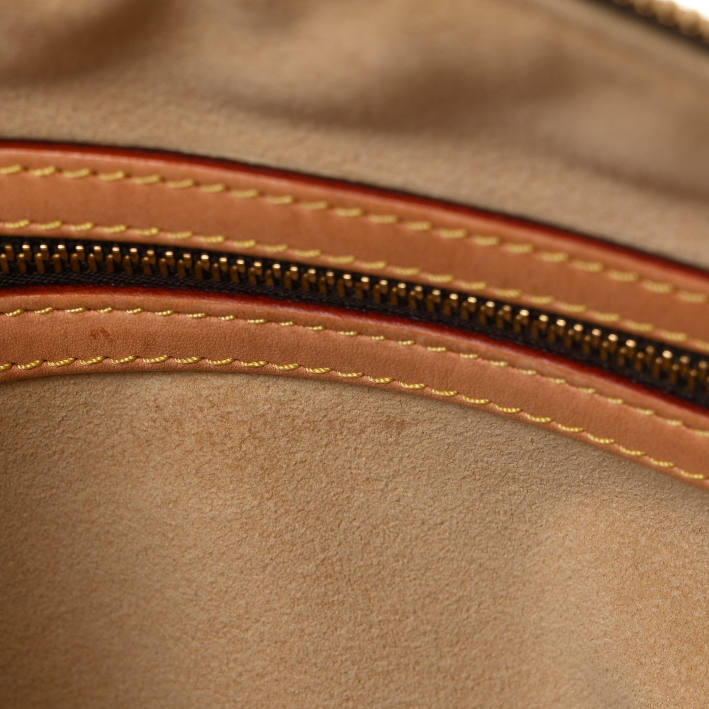 Monogram Sofia Coppola Speedy