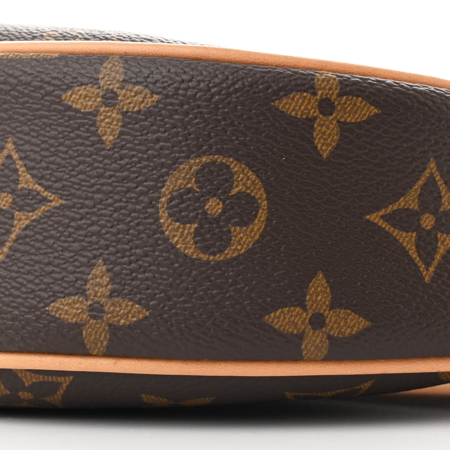 Louis Vuitton Monogram Loop 9 of 9