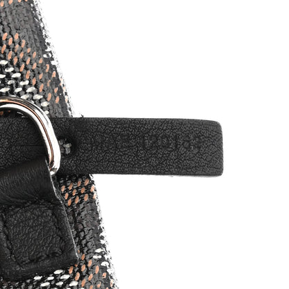 Goyard Goyardine Saint Louis PM Black 8 of 11